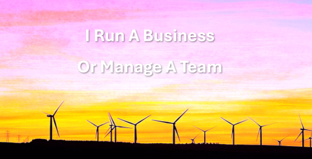 I Run a Business or Manage a Team